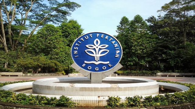 Rahasia Sukses Meraih Beasiswa di IPB